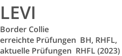 LEVI Border Collie   erreichte Prüfungen  BH, RHFL,  aktuelle Prüfungen  RHFL (2023)