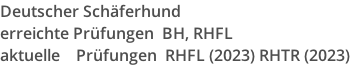 Deutscher Schäferhund erreichte Prüfungen  BH, RHFL aktuelle 			Prüfungen  RHFL (2023) RHTR (2023)