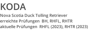 KODA Nova Scotia Duck Tolling Retriever  erreichte Prüfungen  BH, RHFL, RHTR  aktuelle Prüfungen  RHFL (2023), RHTR (2023)